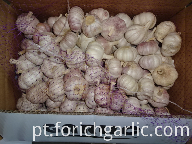 Beautiful New Garlic